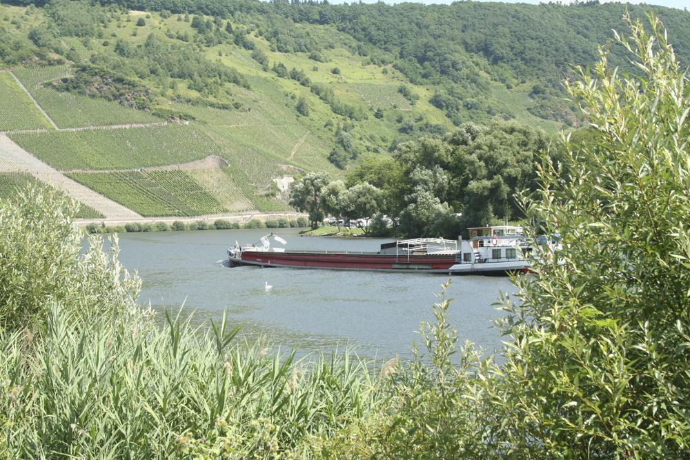 Hotel Vier Loewen Traben-Trarbach Exteriér fotografie