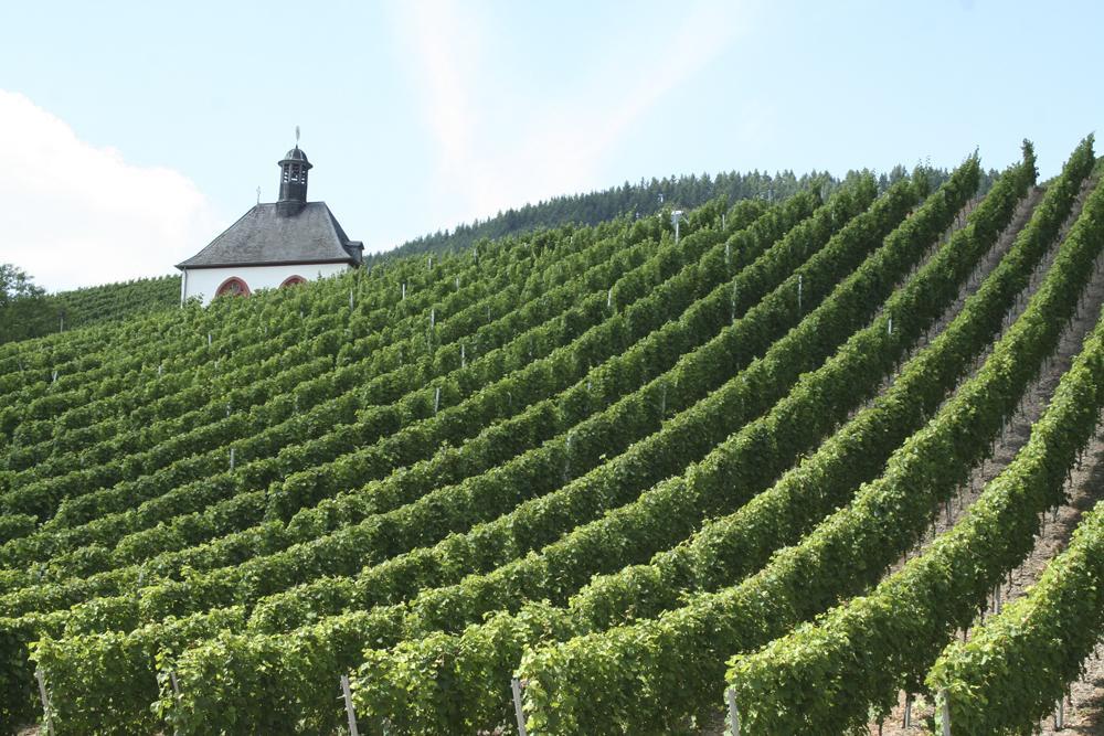 Hotel Vier Loewen Traben-Trarbach Exteriér fotografie